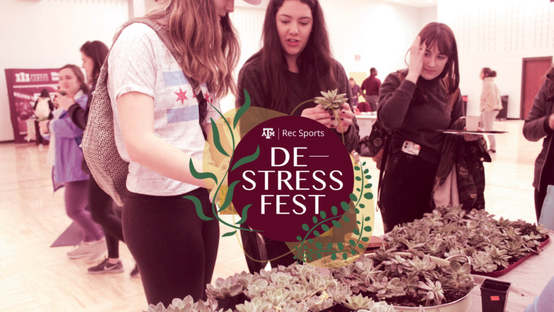 Three individuals examining plants at a ‘De-Stress Fest’ event hosted by Texas A&M Rec Sports in the archery room.