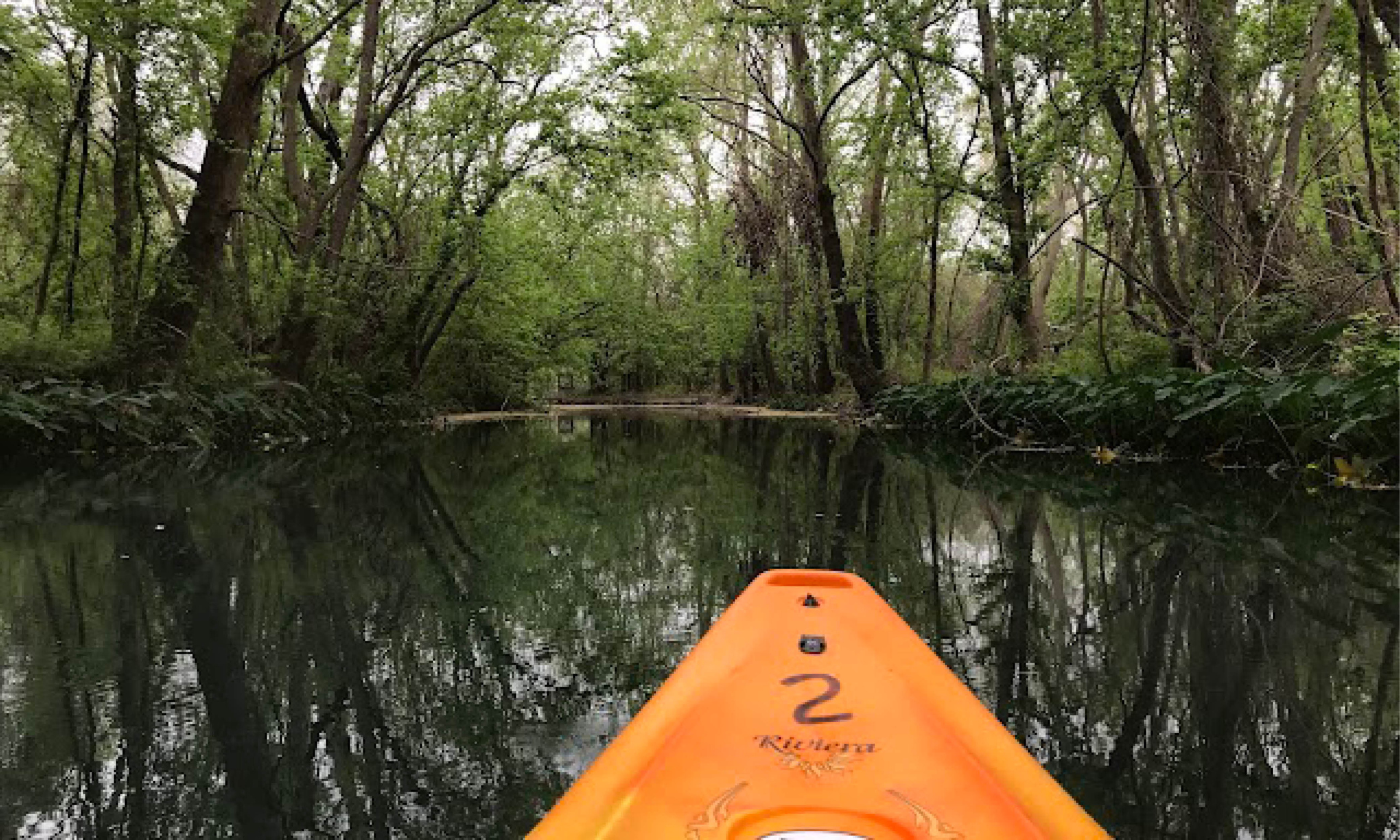 A view from a kayak gliding down a calm, narrow river surrounded by dense, green forest. The orange tip of the kayak is visible in the foreground, and the still water reflects the trees and foliage on both sides. The scene is serene, with a tunnel of overhanging trees creating a peaceful atmosphere.