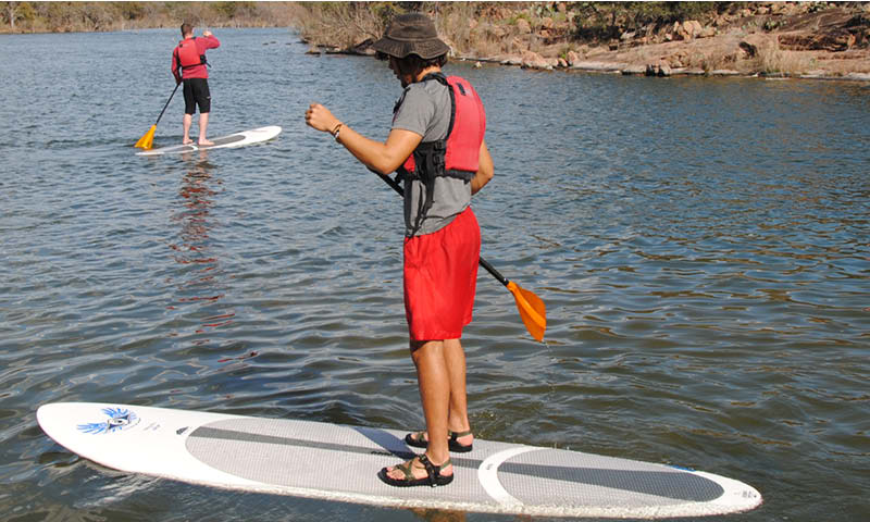 Two people stand-up paddleboarding on a river. The person in the foreground is preparing to paddle, standing on a white board with a blue logo while holding an orange paddle. The other individual, farther away, is actively paddling on a similar board. Both are wearing life jackets.