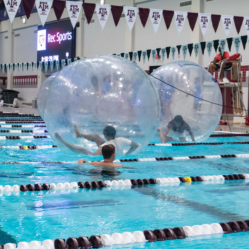 Two people in large transparent inflatable balls on water in an indoor swimming pool, with several swimmers in the lanes nearby and banners displaying "ATM" and "Rec Sports" hanging above.