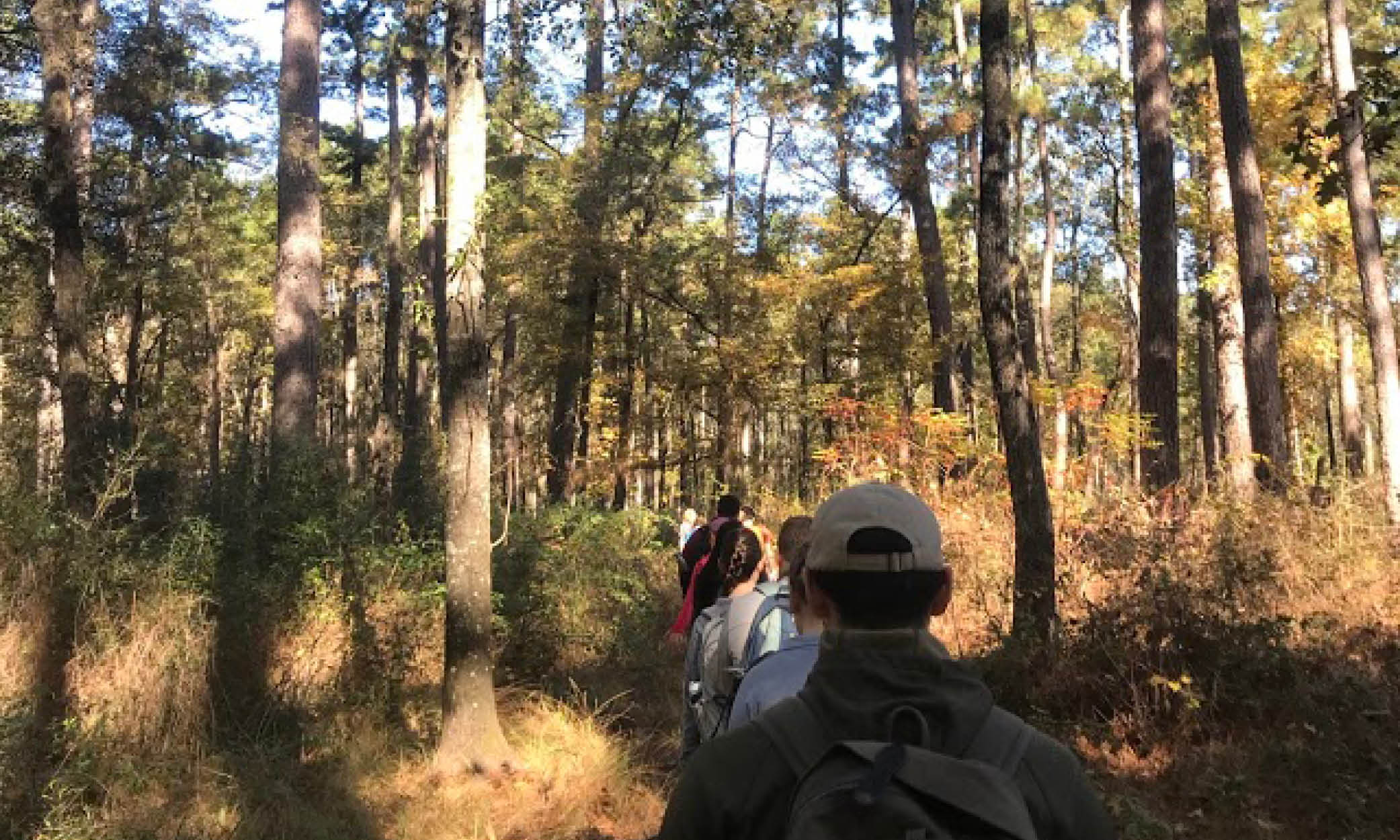 A group of students hiking through the forest in Huntsville State Park
