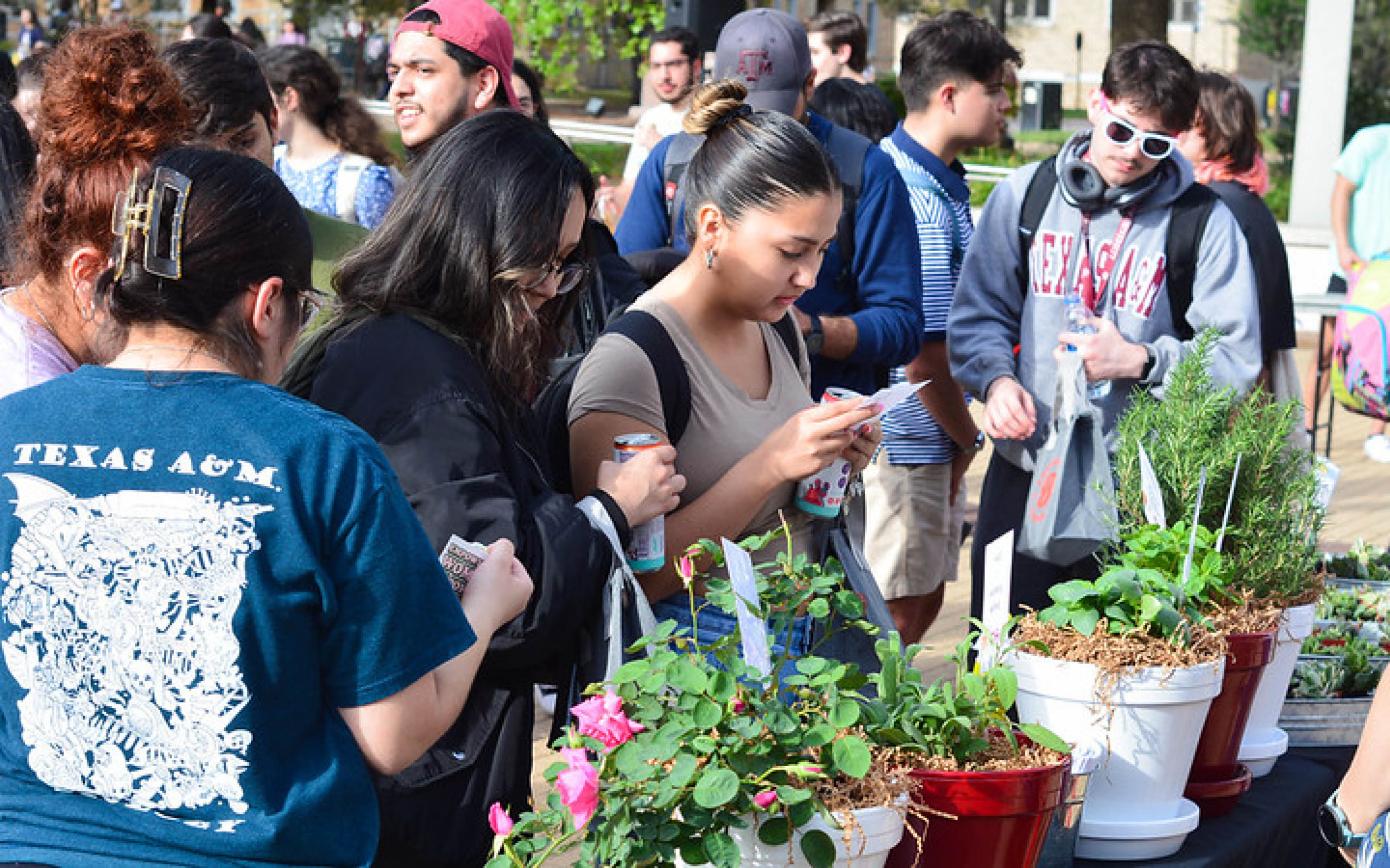 Participants engage in a plant potting activity at an outdoor community event.