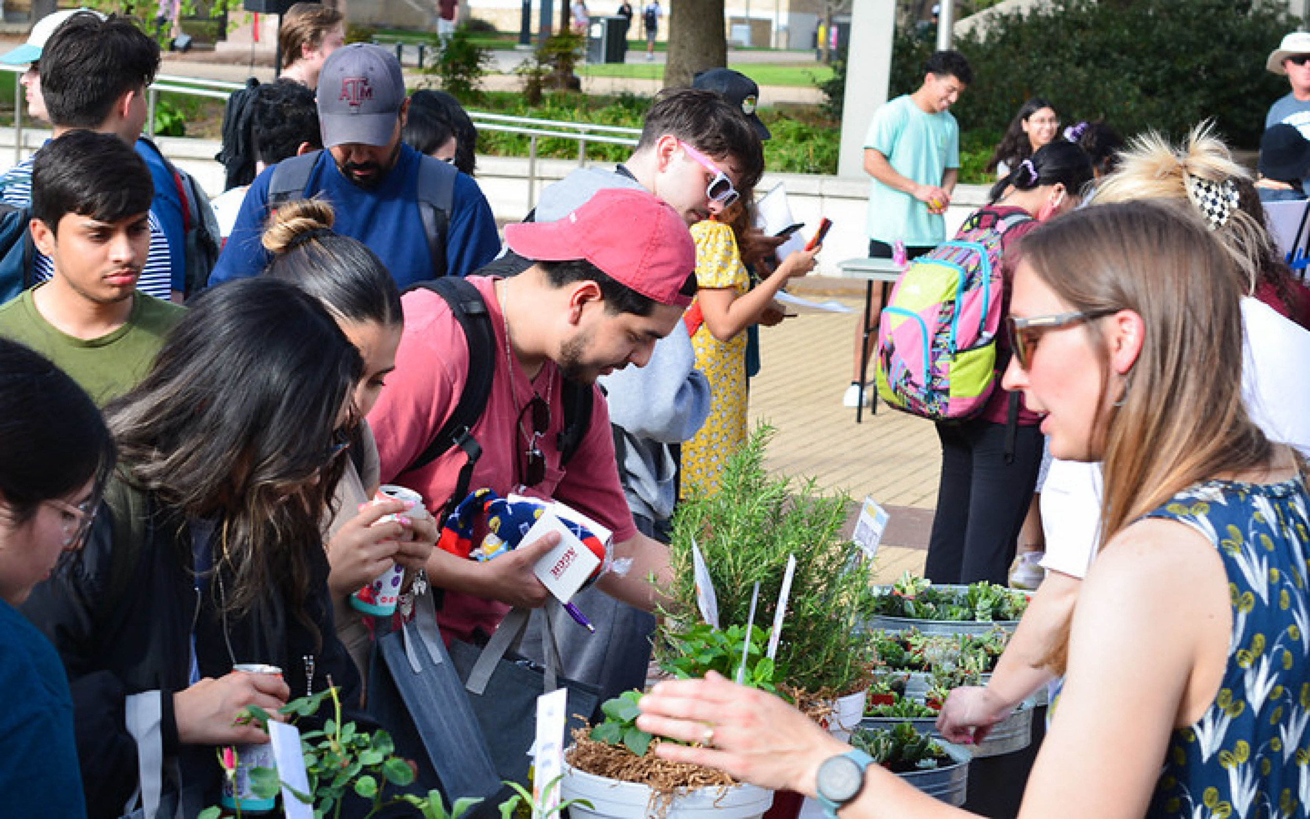 Group of people at a plant sale event, with some examining potted plants. Notable shirt includes "Texas A&M".